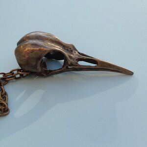 Cast Brass Raven's Skull Goth Pendant Necklace